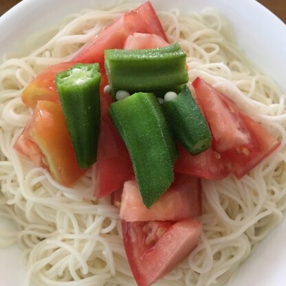 暑い日のそうめんおいしいです！野菜がたっぷりたべれて良いですね！ごちそうさまでした！！